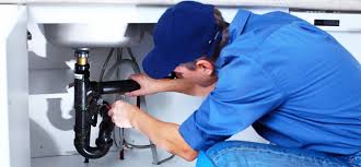 Best Garbage Disposal Repair and Installation  in Altavista, VA